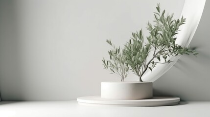 Plants in white pots on a white background Generative AI