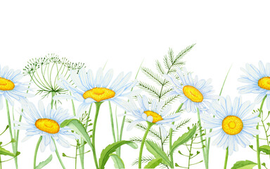 Seamless border of daisies on a white background.