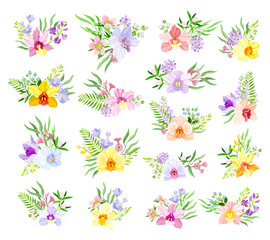 Fragrant Orchid Blooms with Labellum Arranged with Floral Branches Big Vector Set