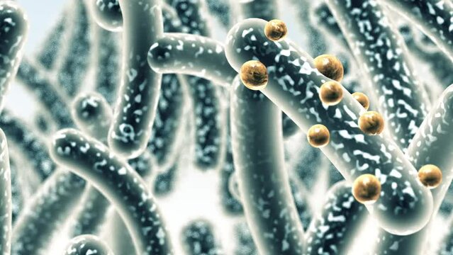 Microbacterias y organismos bacterianos. Biolog&iacute;a y antecedentes cient&iacute;ficos. Imagen microsc&oacute;pica de un virus o c&eacute;lula infecciosa.