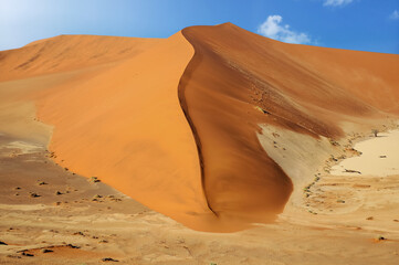 Fototapeta na wymiar sand dunes in the Namib desert