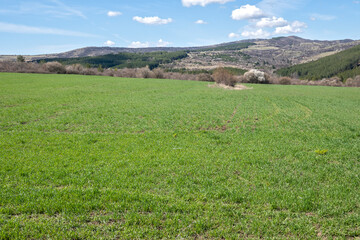 Spring landscape of Lyulin Mountain, Bulgaria