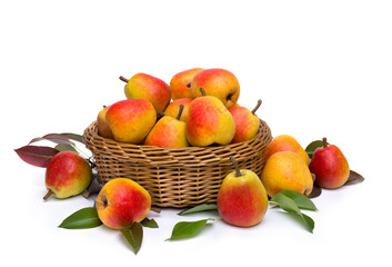 Ripe yellow juicy pears and pear tree leaves in a basket on a white background with space for text