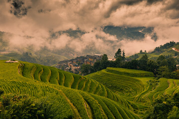 Fototapeta na wymiar Landscape of terraced rice fields near Dazhai Village, Longji, China