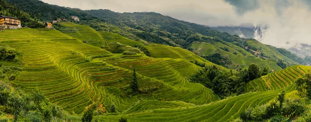 Fototapete Guilin Terraced rice fields near Dazhai Village, Longji, China
