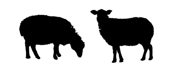 set of silhouettes of sheep	