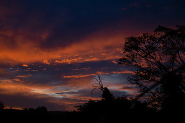 atardecer