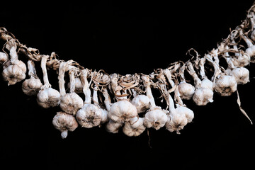 Garlic bulbs on a string over a black background