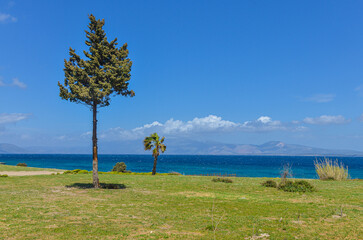 scenic view of Ildir Bay and Karaburun Peninsula from Dodo Beach in Ardic (Cesme, Izmir region, Turkey) © ssmalomuzh