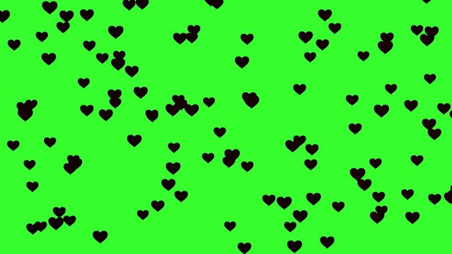 Emerging black hearts against a chroma key background. 3D animation. Video effect for valentine's day and wedding. Green screen.