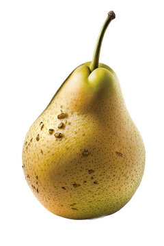 a food-themed illustration photo featuring an isolated juicy yellow pear fruit with leaves set on a transparent background in PNG. Generative AI