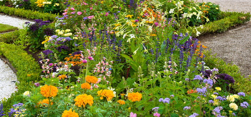 A beautiful flowerbed in the garden. Wide photo.
