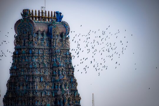Meenakshi Amman Temple's Tower