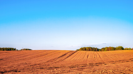 Plowed agricultural field in the rays of the evening sun. Rich, warm colors