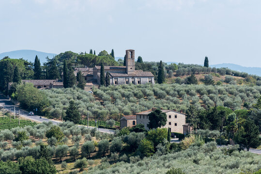 Weite Landschaften mit bepflanzten Alleen und typischer Bauweise in der Toscana Italien