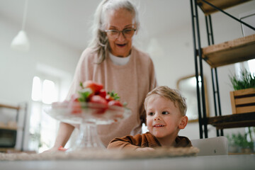 Grandmother giving homegrown strawberries to her little grandson.