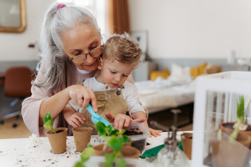 Obraz na płótnie Canvas Grandmother with her grandson planting vegetables and flowers.