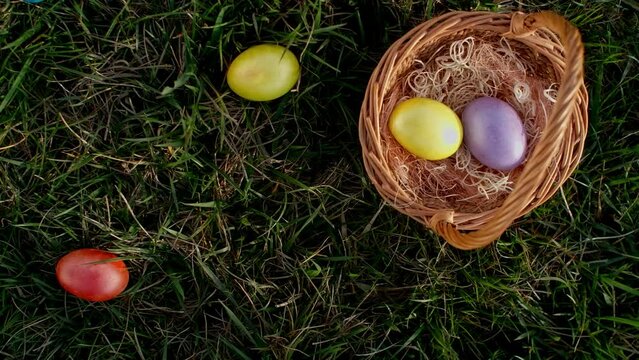 Basket with painted easter eggs, easter egg hunt game theme. Colored eggs in green grass to grab and collect, leisure game on holidays. The religious celebration of Easter.