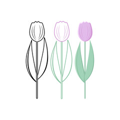 Illustration of tulip, set of icons from black to colorful. Vector. Drawing, coloring book, icon.
