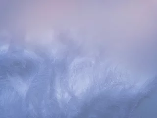 blurred abstract textured background delicate purple beautiful feathers. Vintage style © Natalia Flurno Lúna