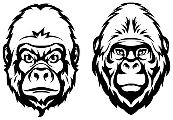 Hand drawn face of monkey. Gorilla illustration mascot art.