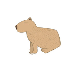 Cute cartoon capybara isolated on a white background. Vector illustration.