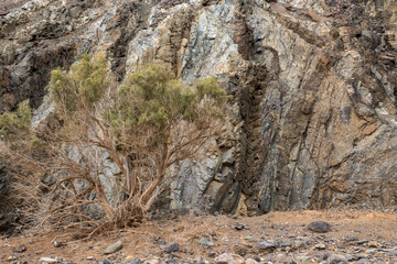 Fototapeta na wymiar Rocks on the way to Pena Horadada, Fuerteventura