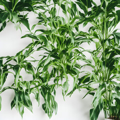 Plants Backgrounds "Generative AI"