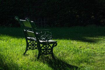 bench in the garden