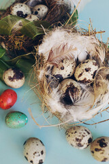 Spring background with colorful Easter eggs in the nest
