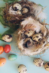 Spring background with colorful Easter eggs in the nest