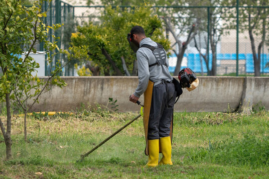 Gardener mowing grass with motorised scythe in the garden