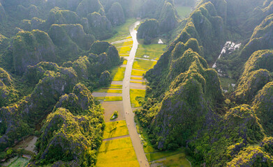 Aerial top view of fresh paddy rice and lake river, green agricultural fields with mountain hills valley in countryside or rural area of Ninh Binh, in Asia, Vietnam. Nature landscape background.