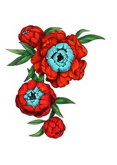 Composition of red peony flowers with green leaves on a white background.twork - 586354826