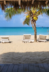 Caribbean resort paradise theme