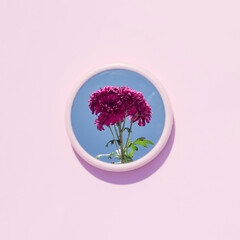 Fototapeta premium Beautiful purple flowers reflected in the mirror on a pink background. Summer aesthetic concept with place for text.