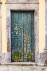 Moss on an old green wooden door.