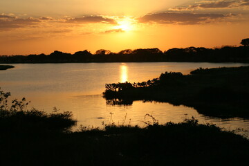 atardecer parmana llanos venezolanos