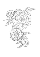 Composition, ornament or pattern of flowers. Contour drawing on a white background. - 586357466