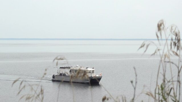 A ship or a motor yacht floats on the water along the shore overgrown with grass.