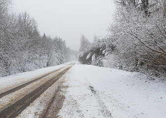 Fototapeta premium natural light. Forest in the snow. Snow-covered forest road.