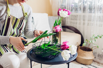 Woman arranges bouquet of tulips flowers at home. Florist cuts stem with pruner, puts in vase. Interior and spring decor