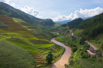 Fototapeta na wymiar Aerial top view of fresh paddy rice terraces, green agricultural fields in countryside or rural area of Mu Cang Chai, mountain hills valley in Asia, Vietnam. Nature landscape background.