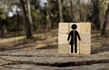 All gender icon on some wooden cubes that are in the park