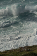 Storm waves hit the shore overgrown with spring flowers