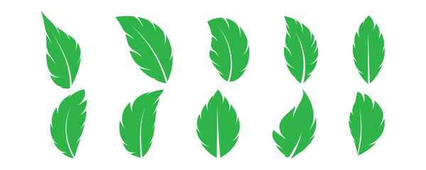 set of green leaves iconsset of green leaves icons