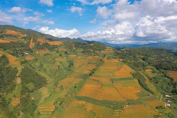 Foto op Canvas Aerial top view of fresh paddy rice terraces, green agricultural fields in countryside or rural area of Mu Cang Chai, mountain hills valley in Asia, Vietnam. Nature landscape background. © tampatra