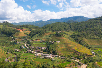 Naklejka premium Aerial top view of fresh paddy rice terraces, green agricultural fields in countryside or rural area of Mu Cang Chai, mountain hills valley in Asia, Vietnam. Nature landscape background.