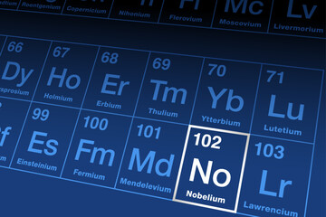 Nobelium on the periodic table. Radioactive transuranic metallic element in the actinide series, with atomic number 102 and symbol No, named in honor of Alfred Nobel, the inventor of dynamite. Vector.