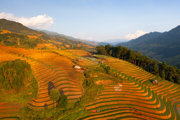 Aerial top view of fresh paddy rice terraces, green agricultural fields in countryside or rural area of Mu Cang Chai, mountain hills valley in Asia, Vietnam. Nature landscape background.